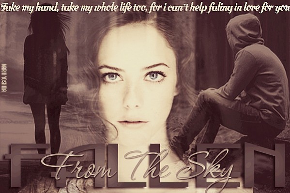 Fallen From The Sky