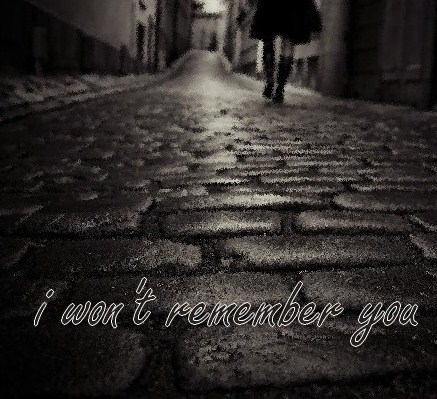 I Won't Remember You