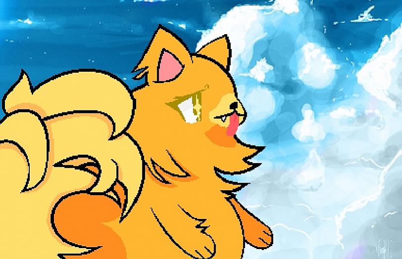 Pom Needs the WiFi