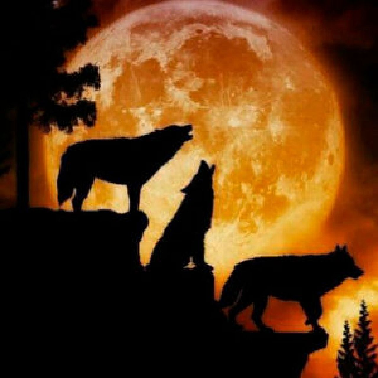 Blood Moon