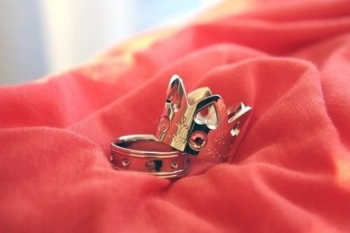 opposites attracted