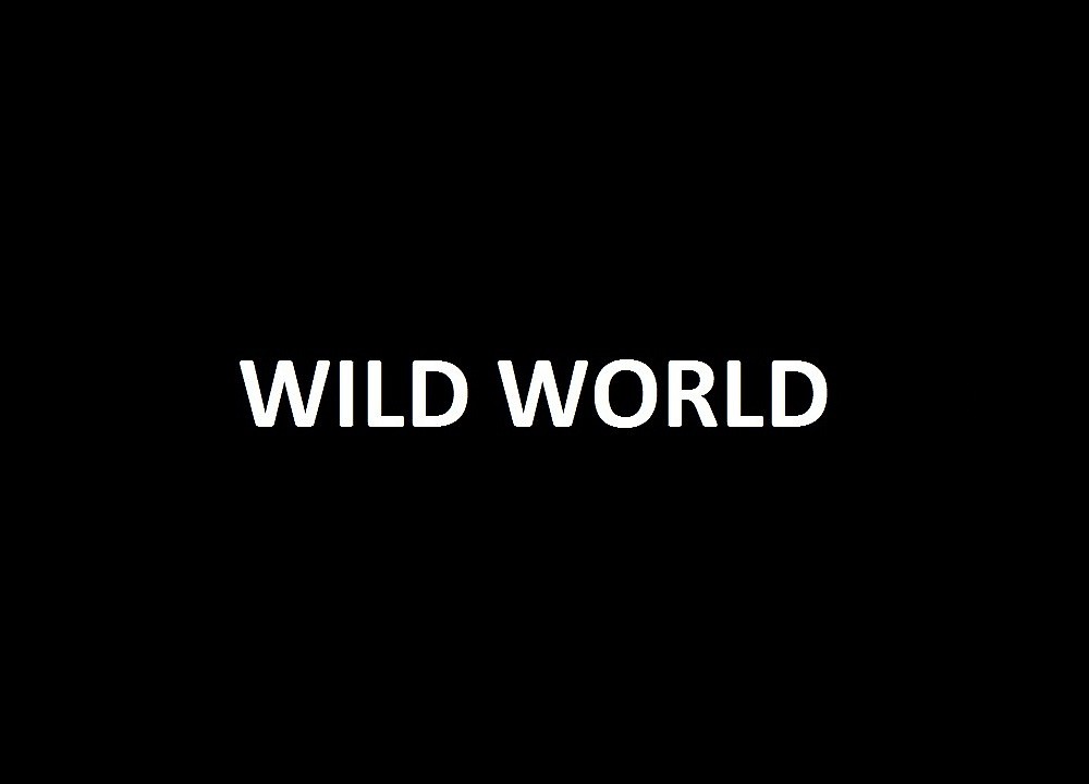 Wild World