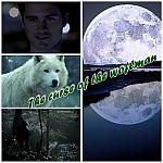 The curse of the wolfman