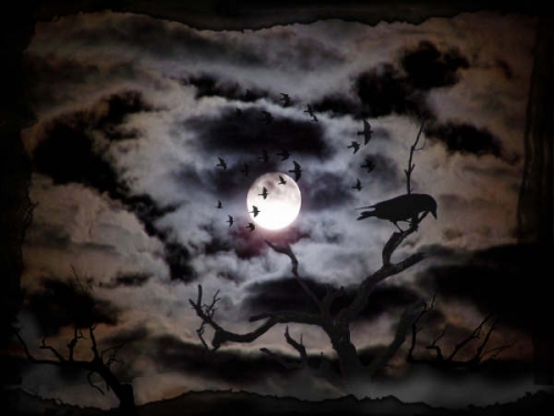 the crow's caw