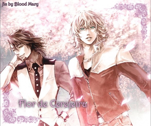 Cherry Blossom