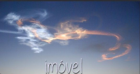 Immobile