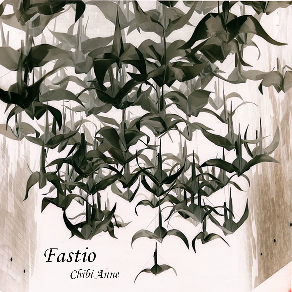 fastio
