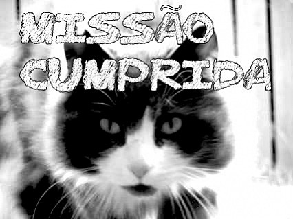 Missão Cumprida