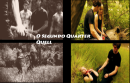 The Second Quarter Quell