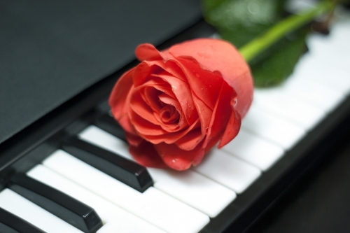 My Favorite Pianist
