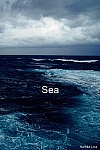 sea