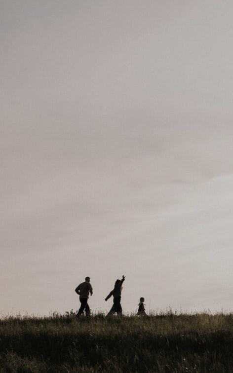 Entre Golpes e Beijos