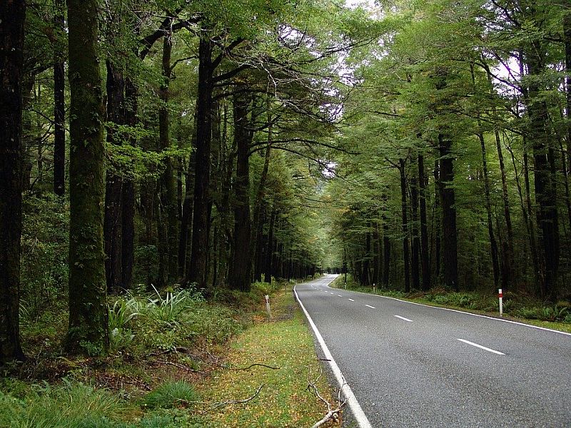 Road