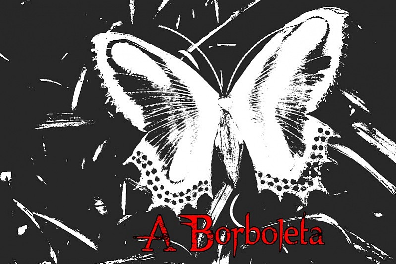 The butterfly