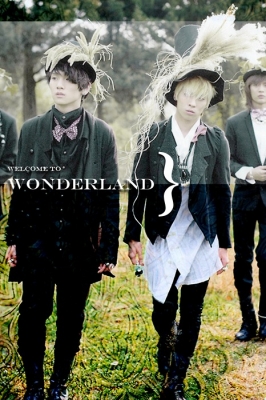 Welcome To Wonderland