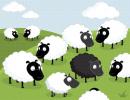 Black sheep of the family