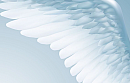 wings
