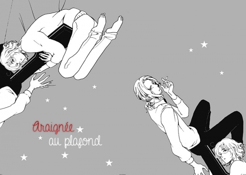 Araignée au Plafond
