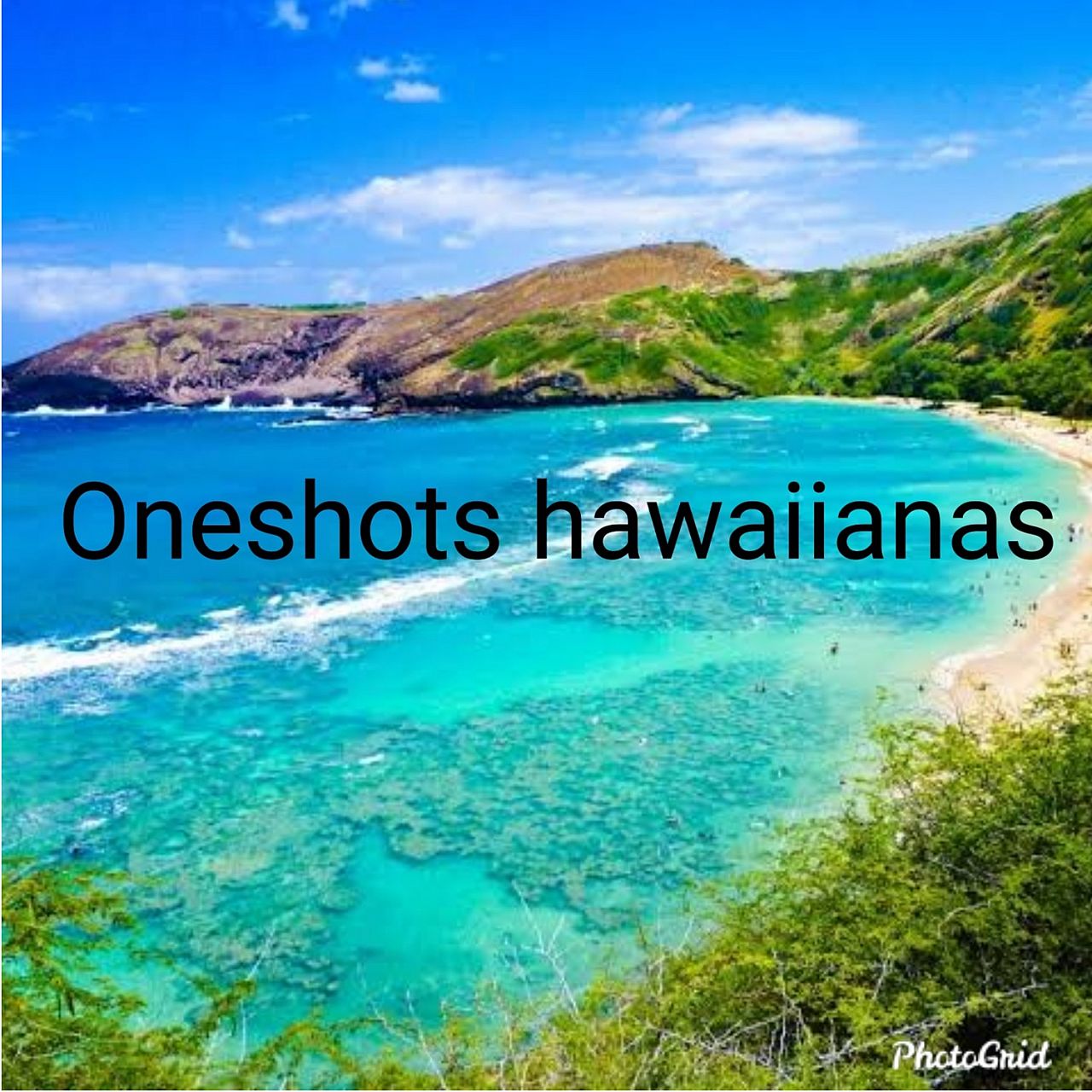 Havaianas Oneshots