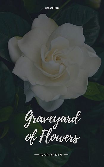 Graveyard of Flowers — Gardenia