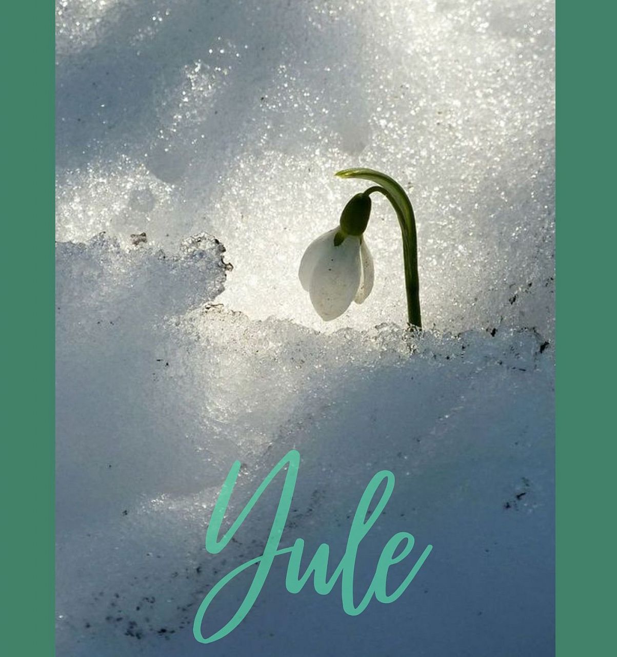 Yule
