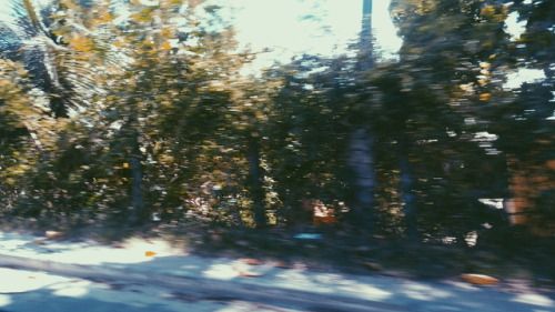Wanderlust After the New Year