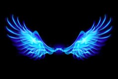 In Search of the Wings of Eros