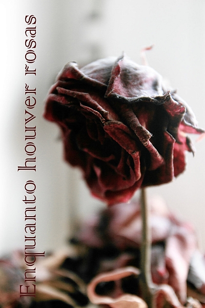 As long as there are roses