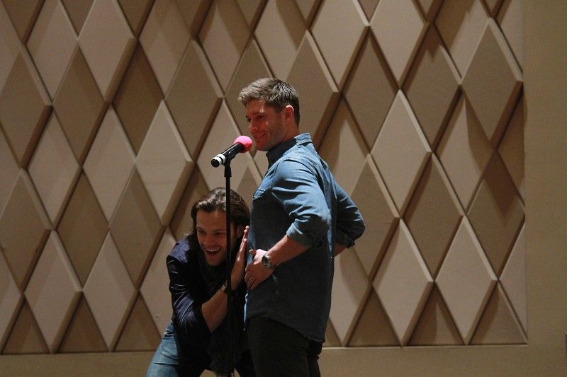 How can anyone be that happy? padackles