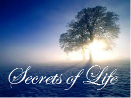 Secrets Of Life