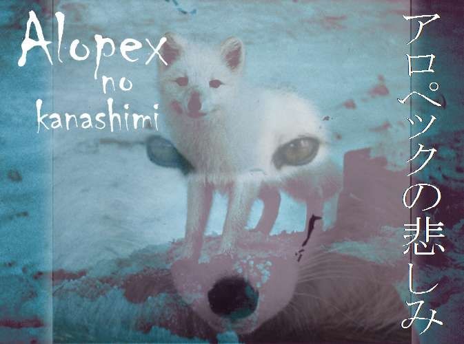 Alopex no Kanashimi