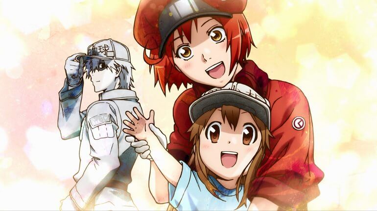 Hataraku no saibou Endocarite