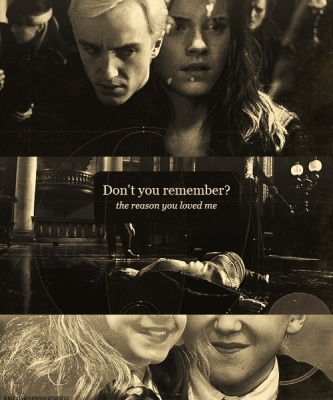 Dragões E Serpentes - Draco E Hermione
