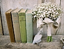 gypsophila