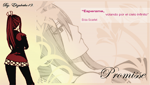 promise.