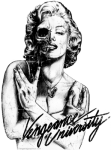 Vengeance University