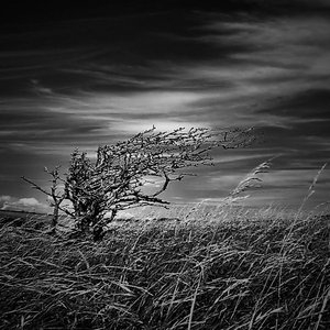 Wind Of Change