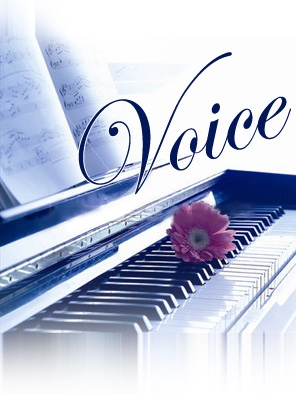 voice