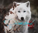 Diamond: The story of a wolf