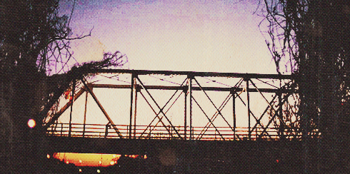 tree hill